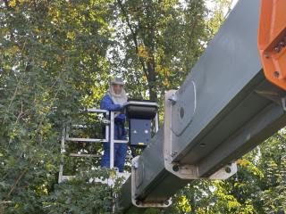 Autobahn Westfalen: Im Einsatz gegen die Raupen des Eichenprozessionsspinners